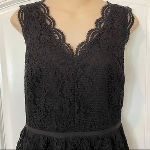 LOFT Scalloped Lace V-Neck Dress